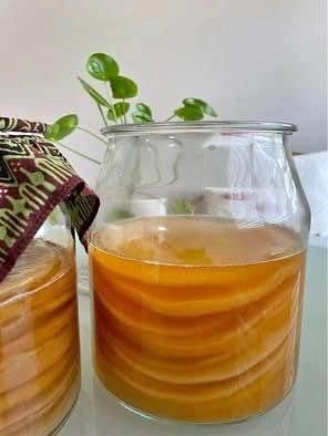 Kombucha Scoby only NO Stater Liquid