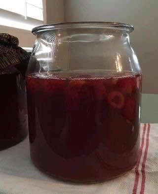 Kombucha Scoby only NO Stater Liquid - photo 3