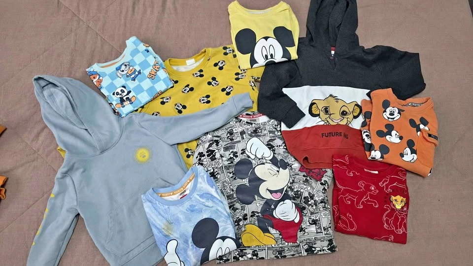 Disney Boys Mickey Mouse and Lion King Sweatshirt Bundle of 9