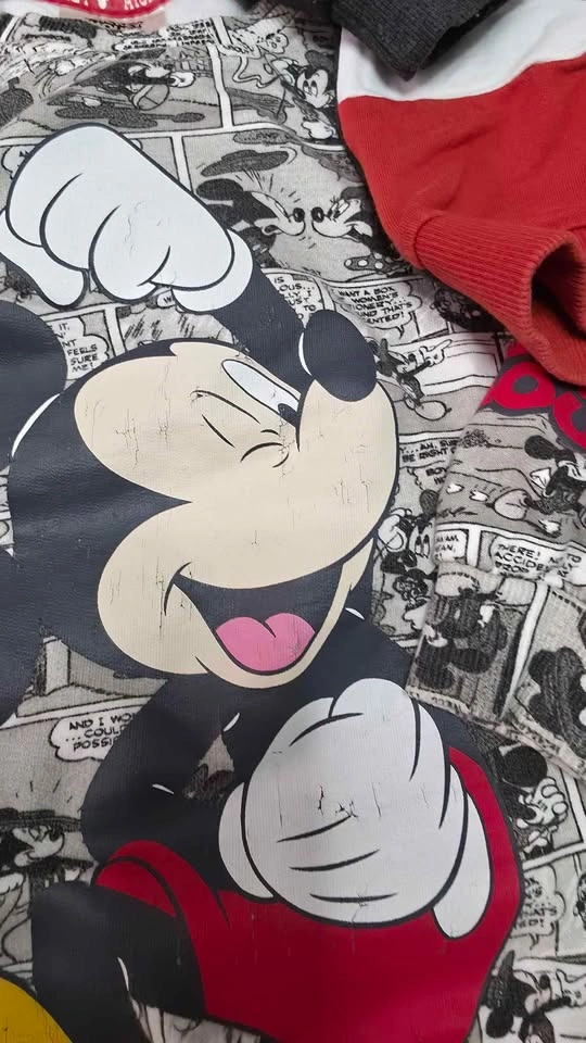 Disney Boys Mickey Mouse and Lion King Sweatshirt Bundle of 9 - photo 4