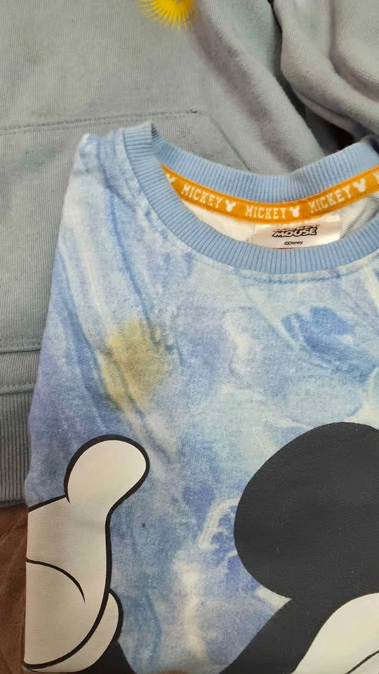 Disney Boys Mickey Mouse and Lion King Sweatshirt Bundle of 9 - photo 5