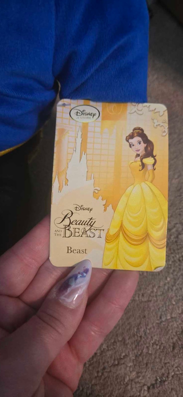 The Beauty and the Beast - Beast Plush from The Disney Store - photo 5