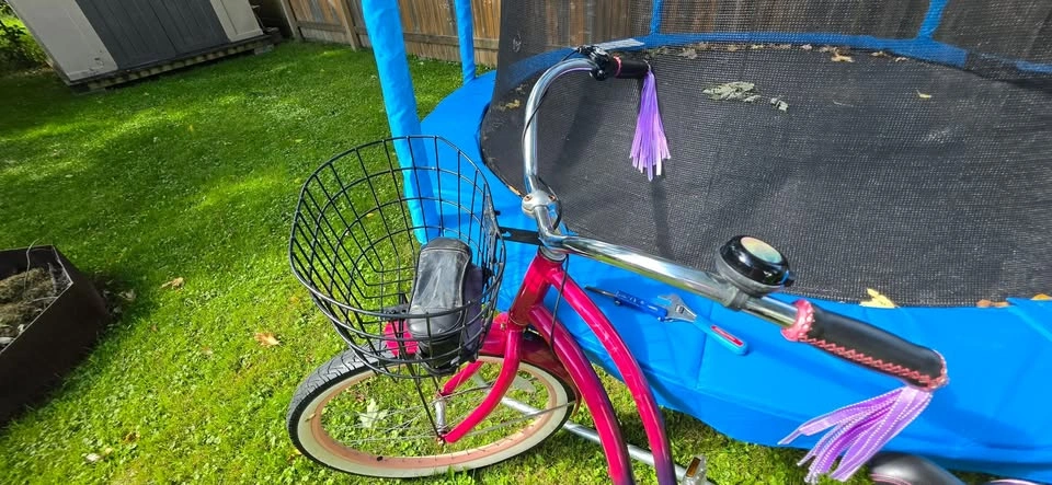 Liv Women's Cruiser Bike 26" - photo 4