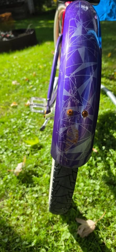 Liv Women's Cruiser Bike 26" - photo 5