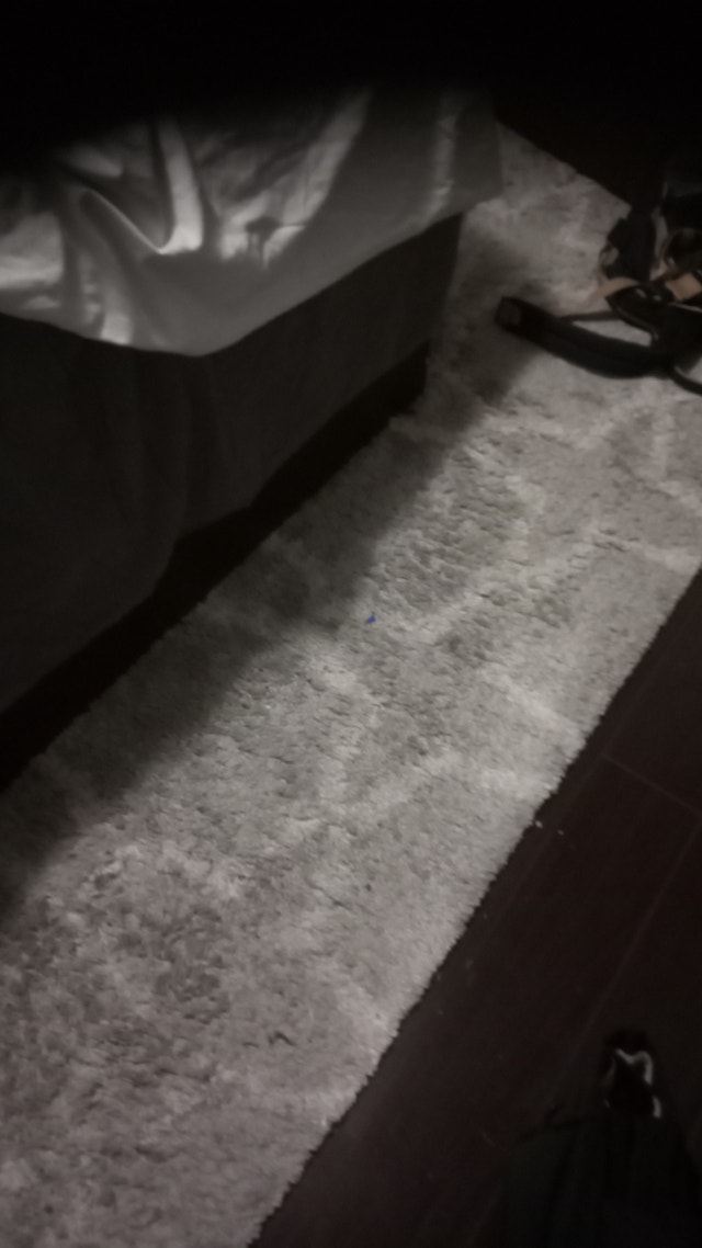 Area Rug 8'X10'
