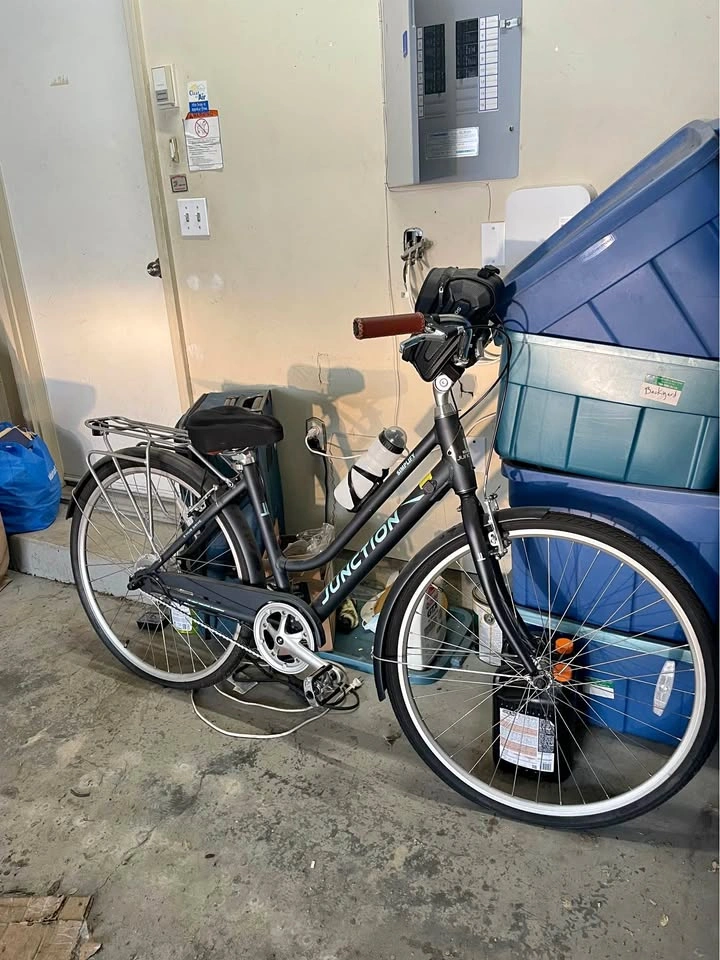 Junction Simplify Electric Bike
