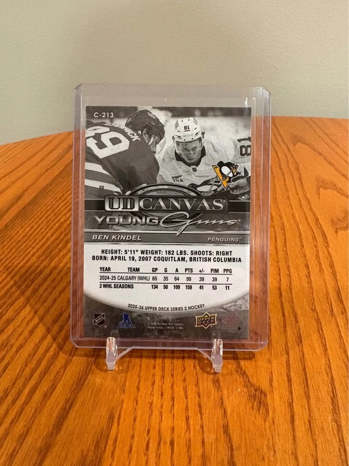 Ben Kindel UD Canvas YG Rookie Black and White - photo 2
