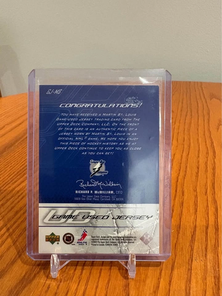 Martin St. Louis jersey patch - photo 2