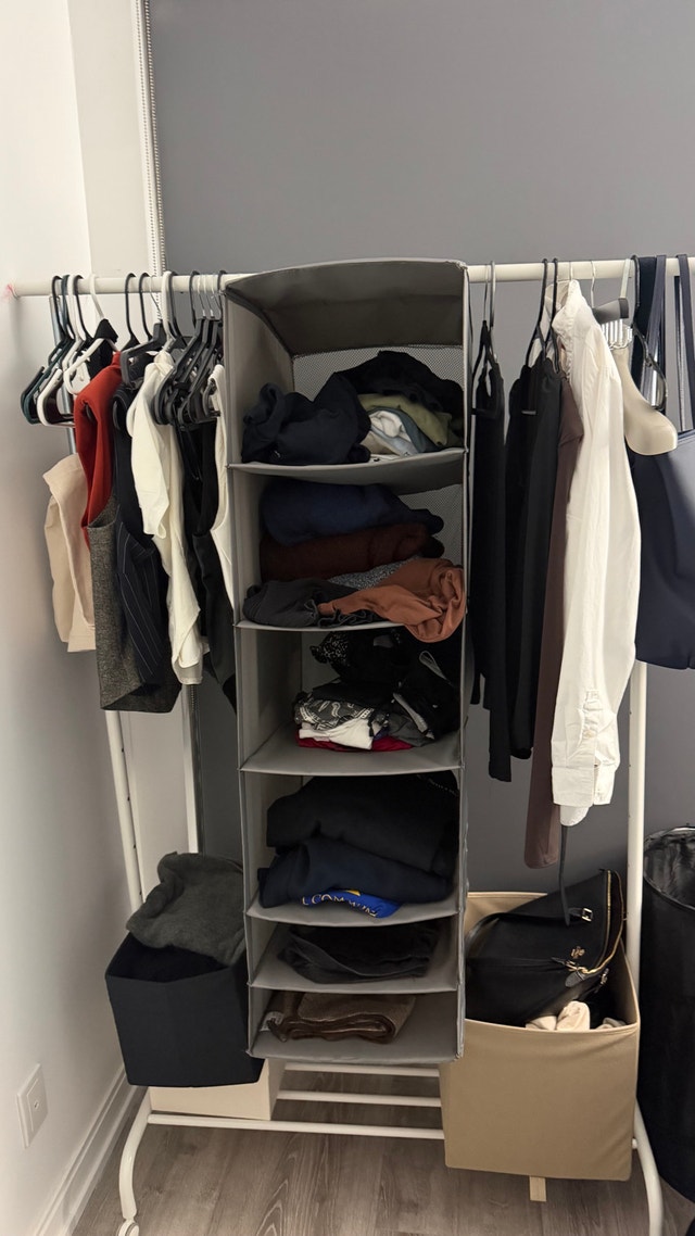 IKEA RIGGA Clothes Rack and SKUBB Hanging Organizer