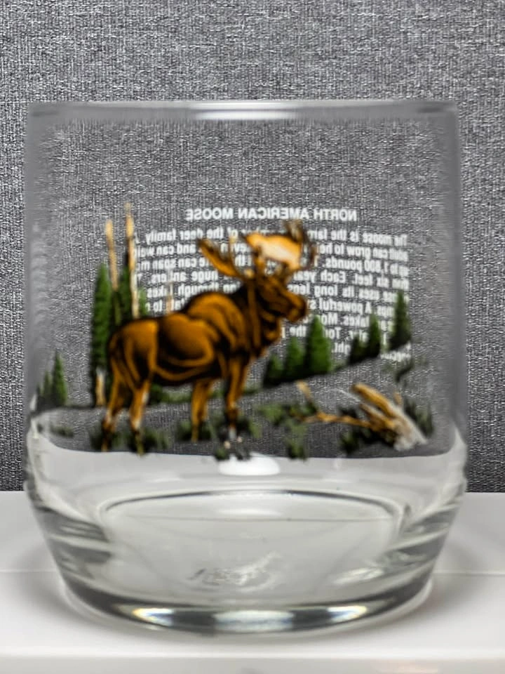 Vintage Sunoco Libbey Wildlife Rocks Glasses - Set of 4 - photo 4