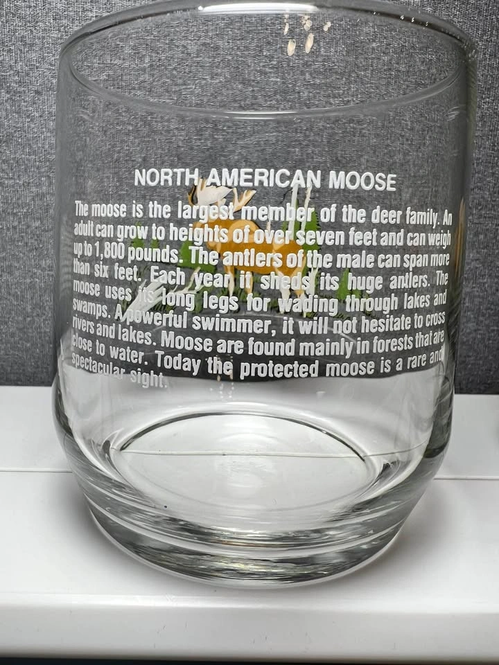 Vintage Sunoco Libbey Wildlife Rocks Glasses - Set of 4 - photo 5