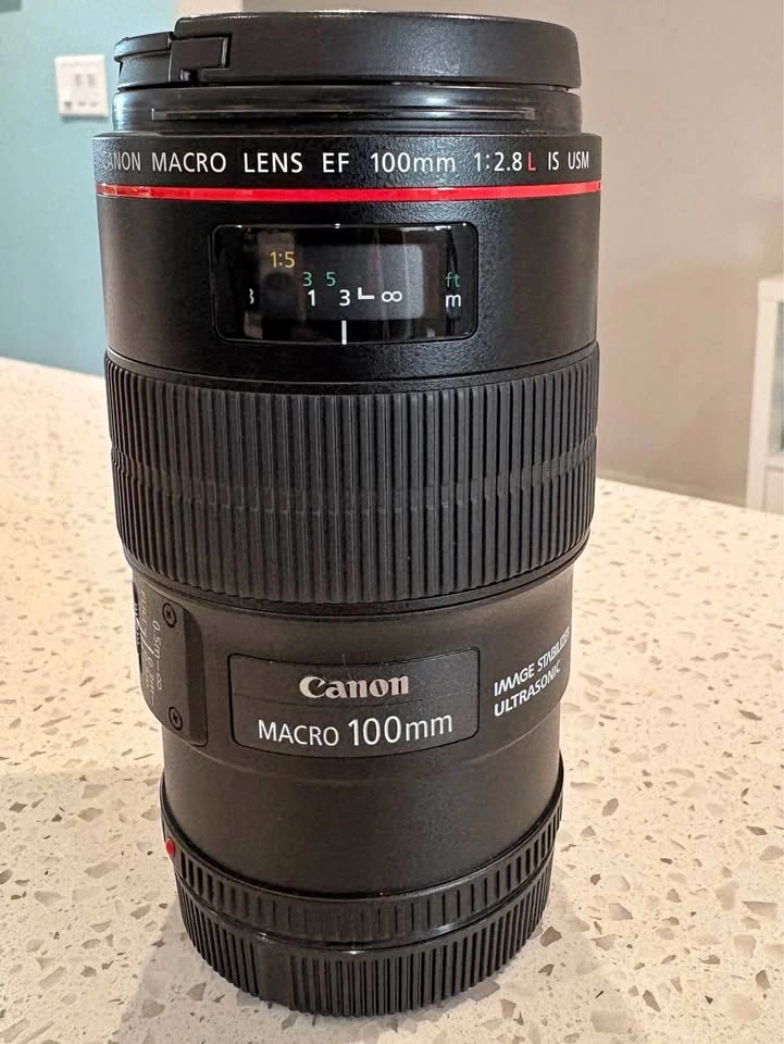 Canon EF 100mm f/2.8L Macro with filters — Excellent Condition