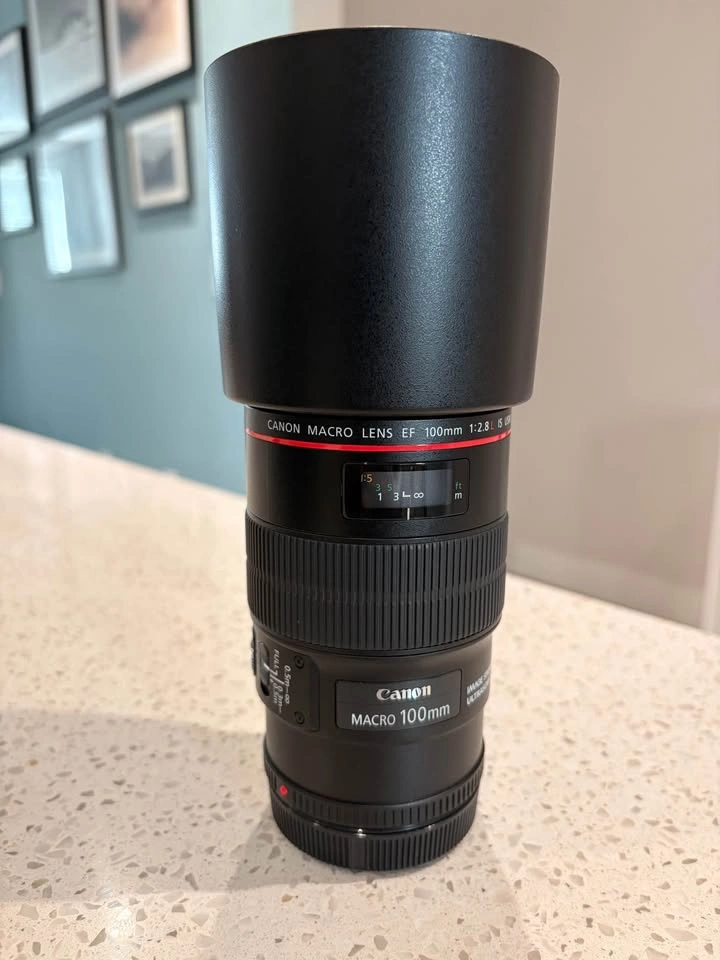 Canon EF 100mm f/2.8L Macro with filters — Excellent Condition - photo 5