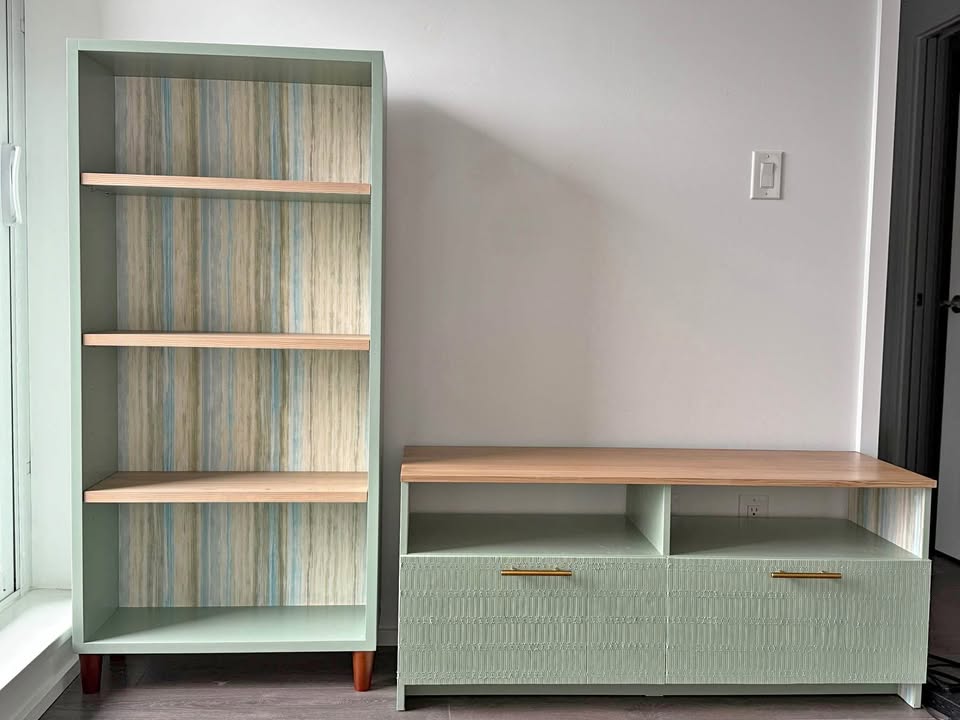 Tv Stand and Bookshelf set