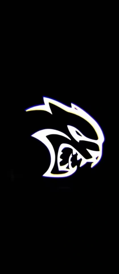 Challenge door logo lights - photo 2