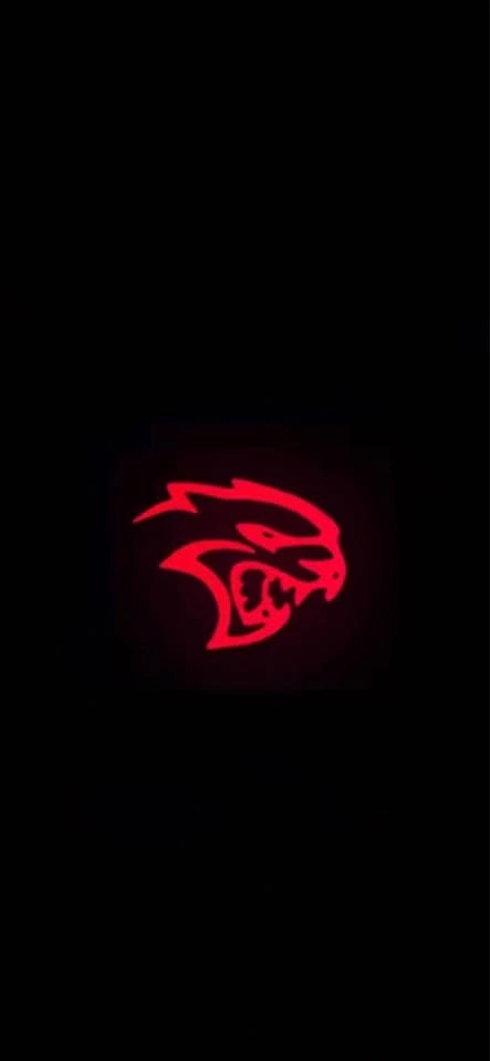 Challenge door logo lights - photo 5
