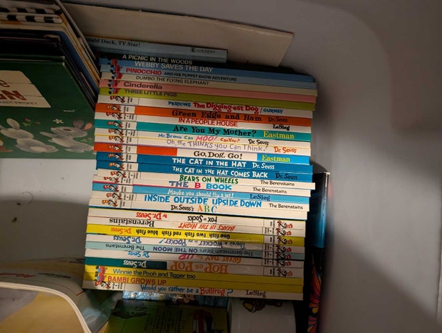 Dr. Seuss, Berenstain Bears and Mercer Mayer Children's Books
