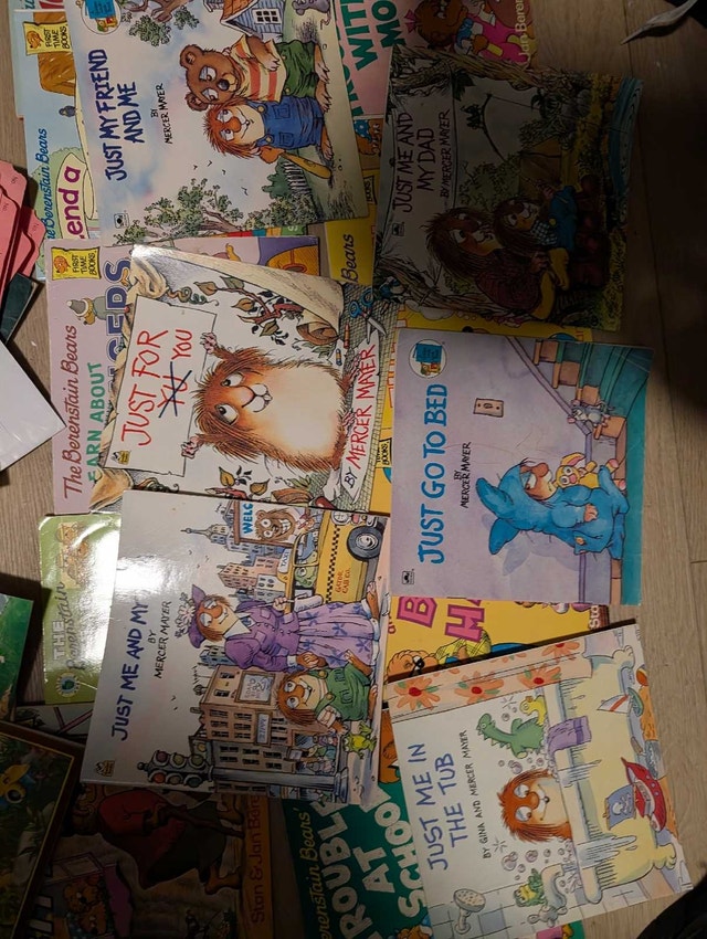 Dr. Seuss, Berenstain Bears and Mercer Mayer Children's Books - photo 3