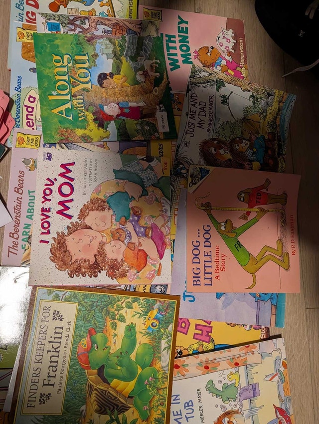 Dr. Seuss, Berenstain Bears and Mercer Mayer Children's Books - photo 4