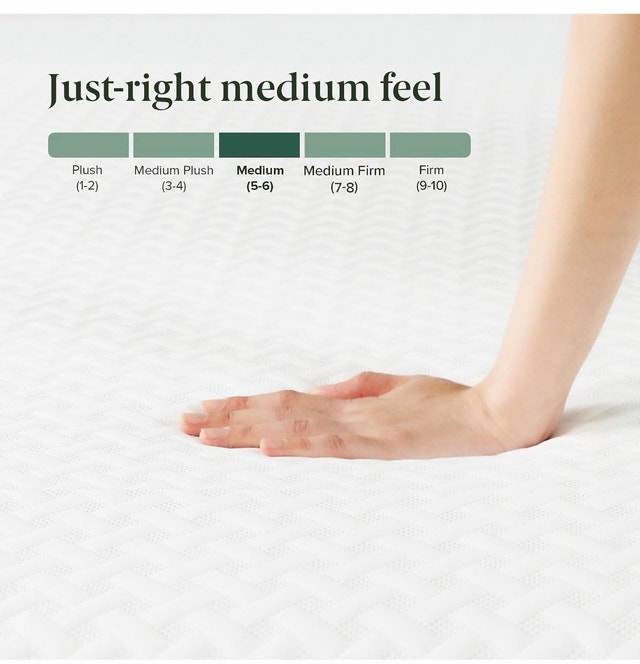 Zinus Twin Mattress