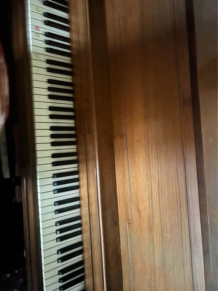 Piano + Metronome - photo 2