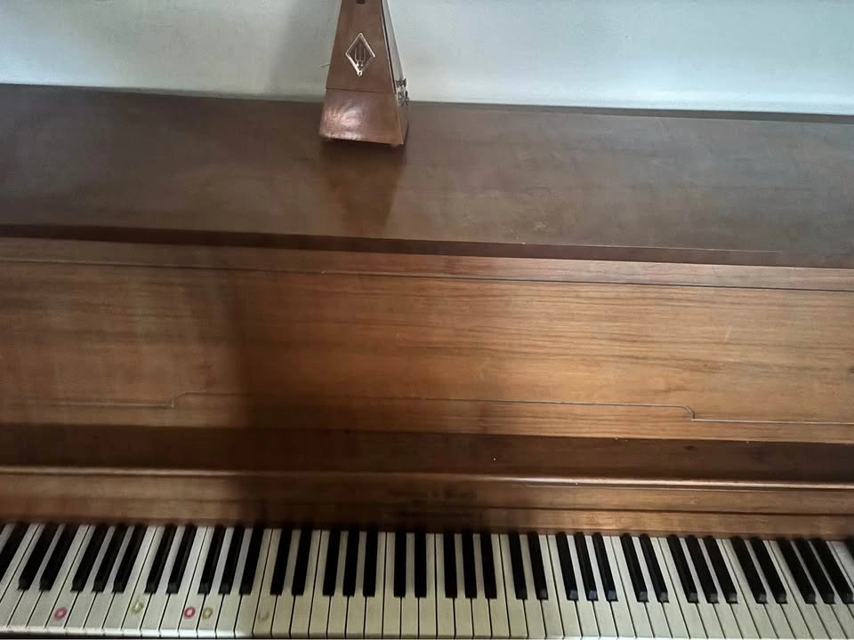 Piano + Metronome - photo 5