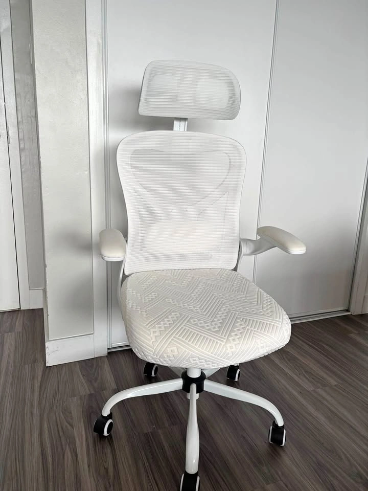 Ergonomic Office Desk Chair with Cushion and Lumbar Support