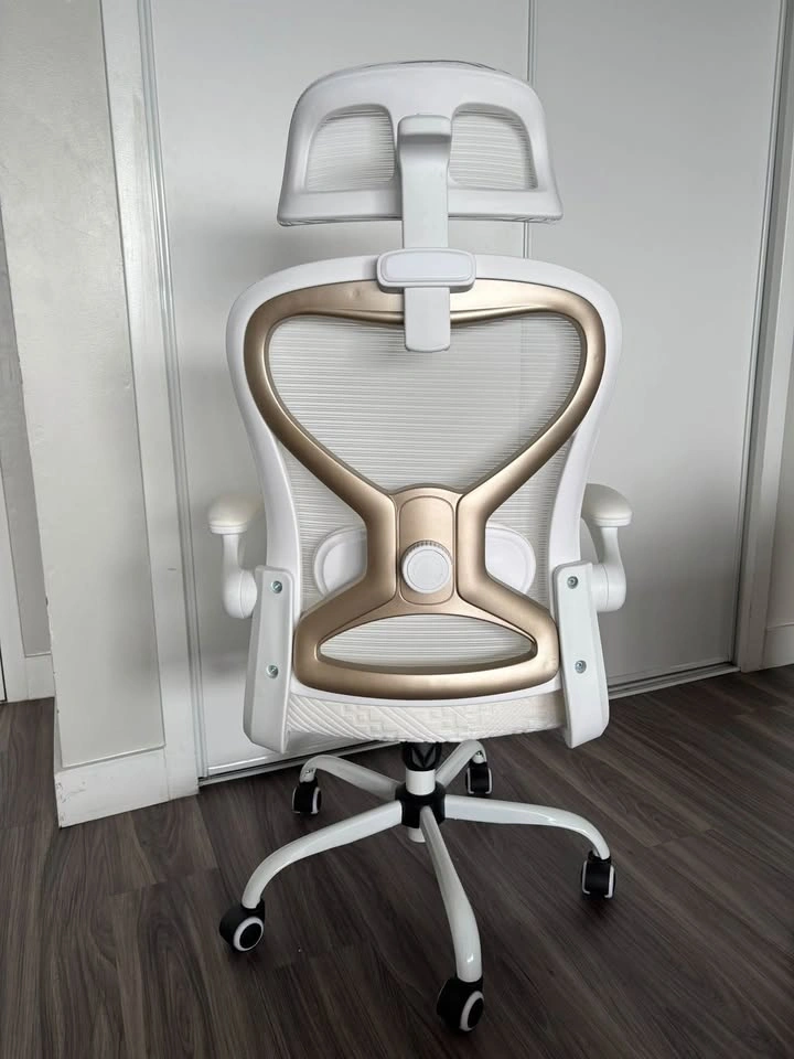 Ergonomic Office Desk Chair with Cushion and Lumbar Support - photo 3