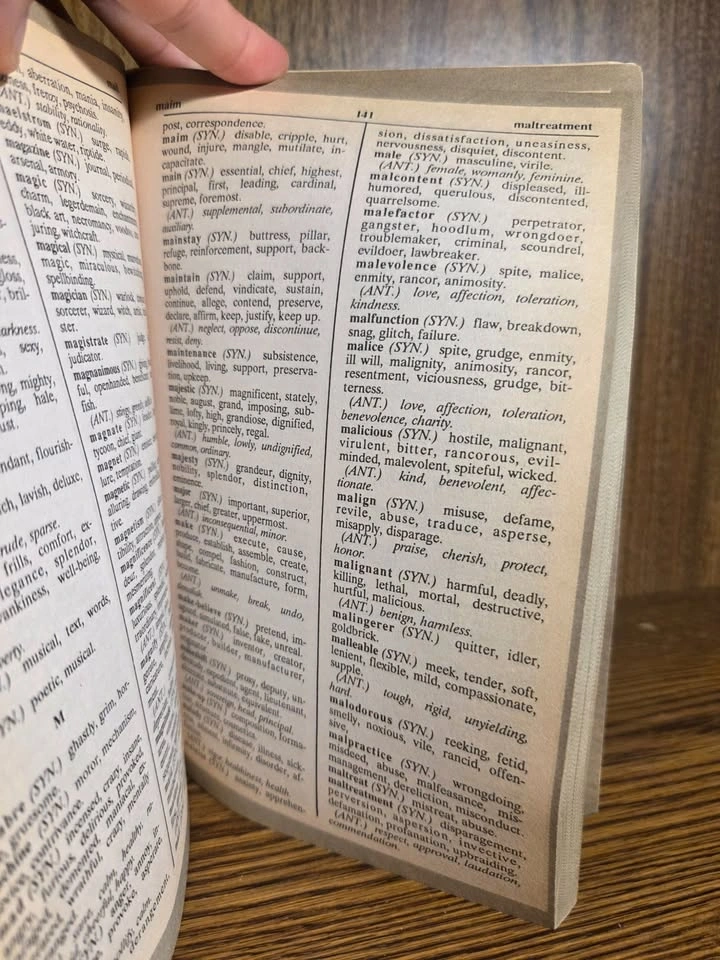 Webster's Dictionary and Thesaurus 1988 - photo 5