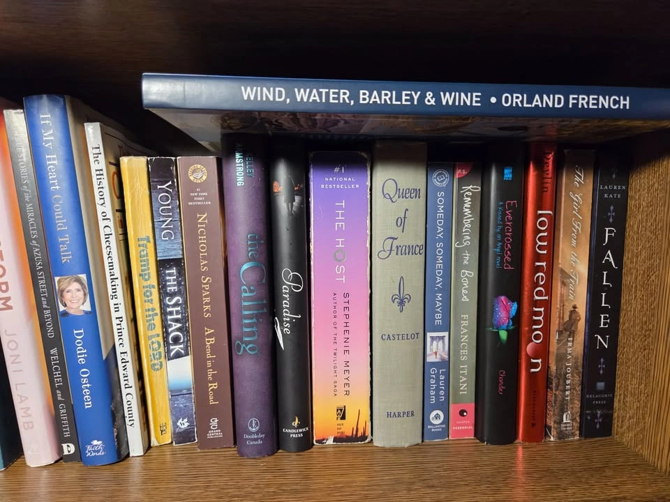 Various Fiction/Non-Fiction/Religious Books - photo 3