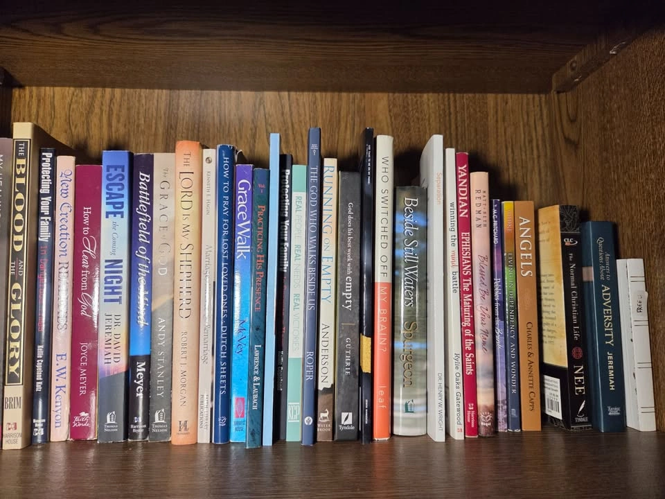 Various Fiction/Non-Fiction/Religious Books - photo 5