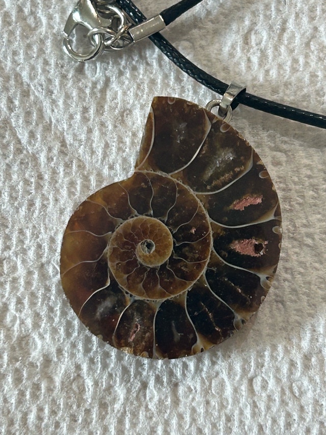 Ammonite Fossil Pendant