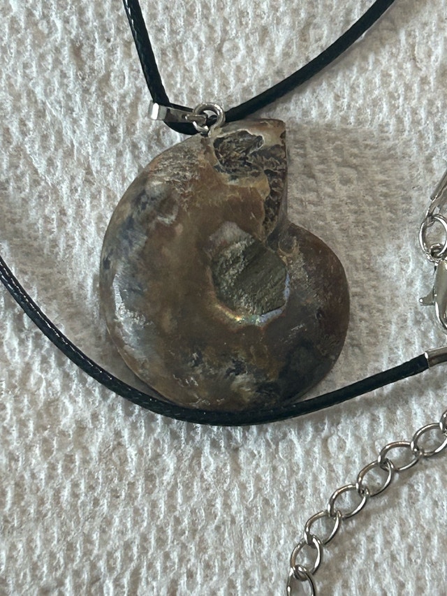Ammonite Fossil Pendant - photo 2