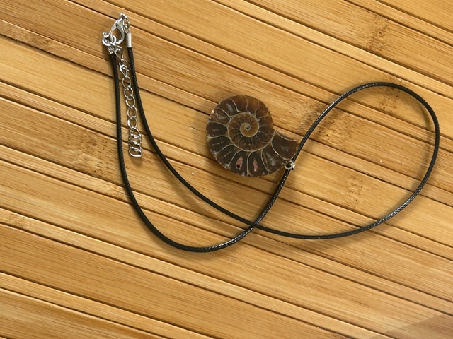 Ammonite Fossil Pendant - photo 3