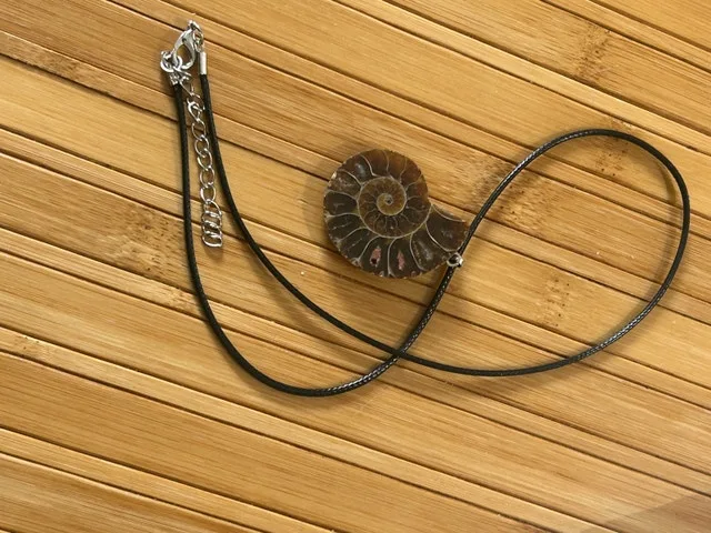Ammonite Fossil Pendant - photo 3