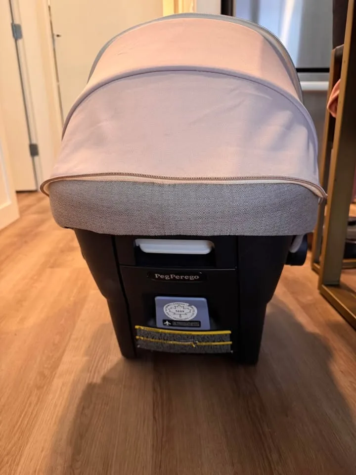 Peg Perego Primo Viaggio 4-35 Nido Infant Car Seat image indicator(4)