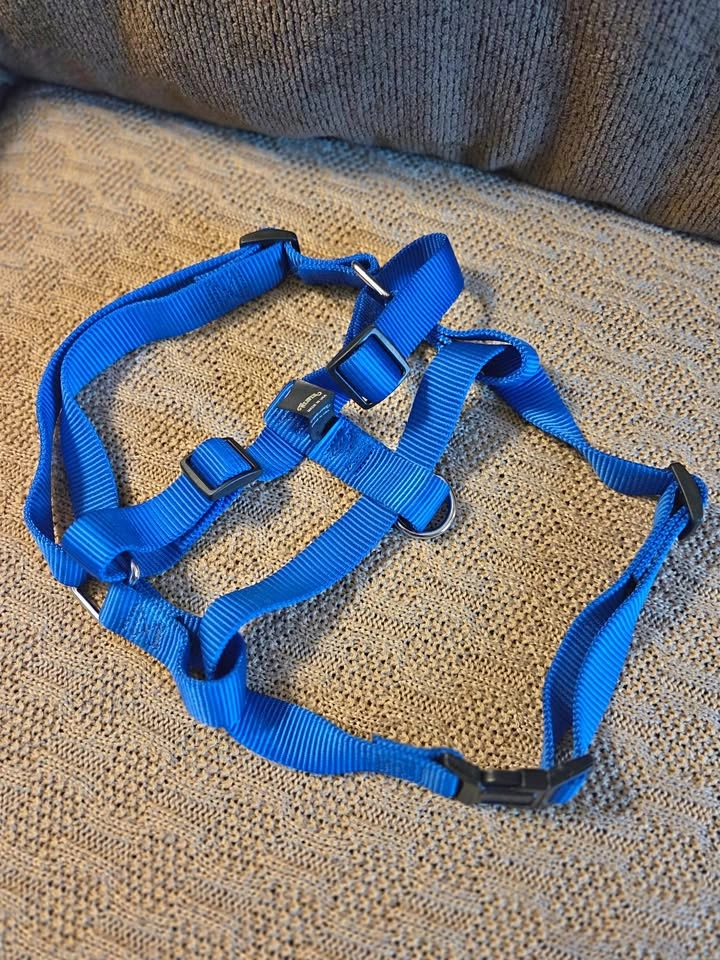 Blue Weaver Medium Sized Dog Harness