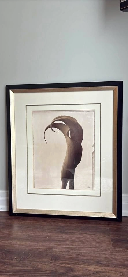 Framed signed 27.5” w x 32.5” h print