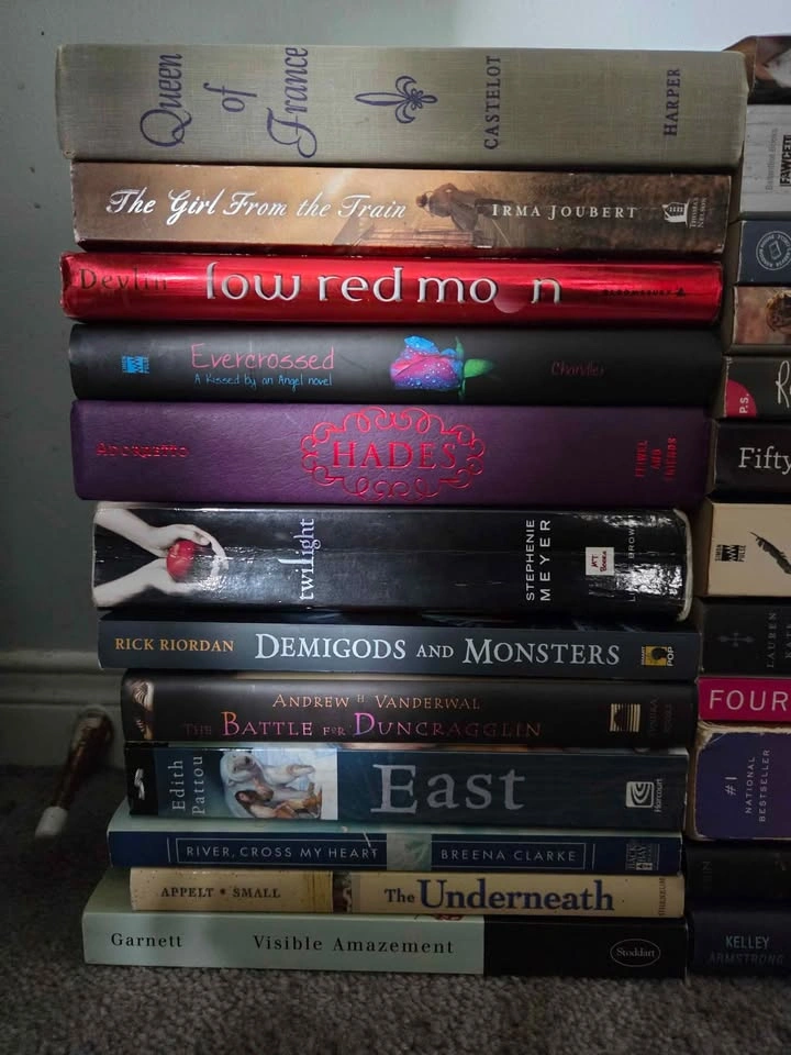 Various Books - Novels of Varying Genres - photo 2
