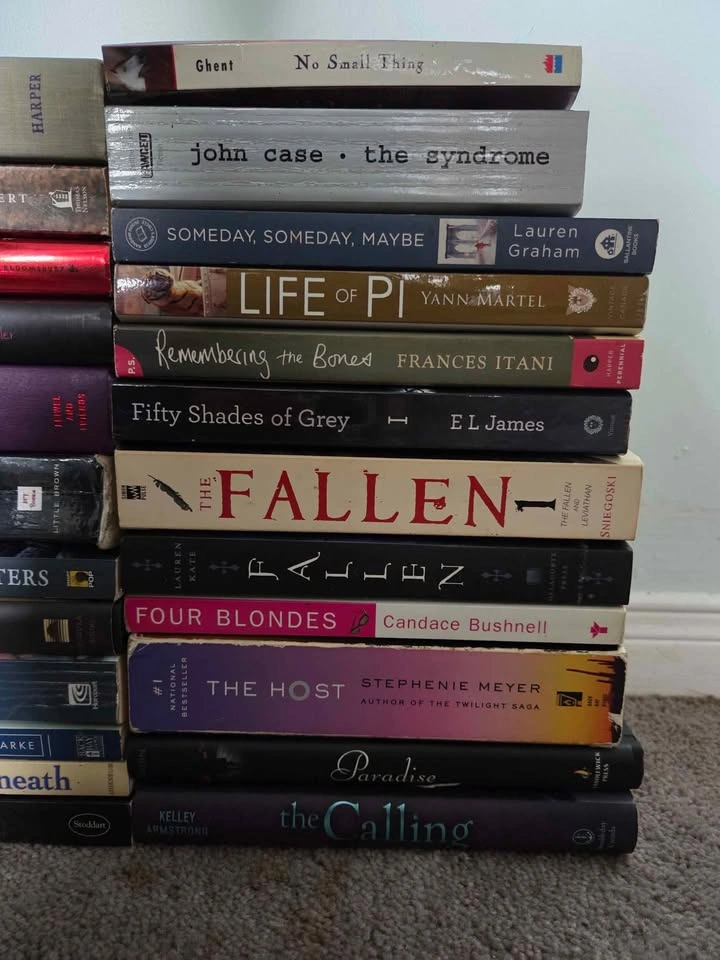 Various Books - Novels of Varying Genres - photo 3