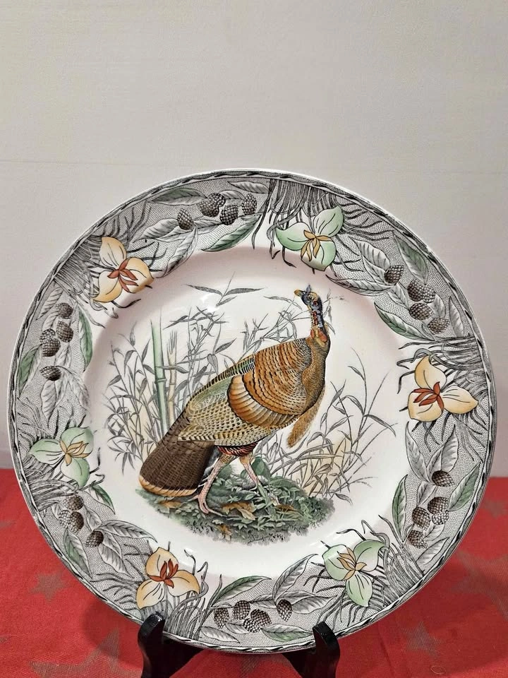 Birds of America Adams China Plate, Wild Turkey, England