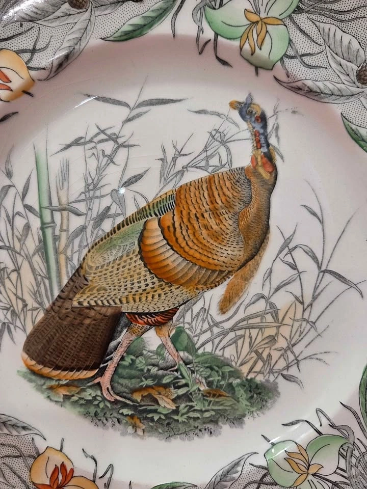 Birds of America Adams China Plate, Wild Turkey, England - photo 2