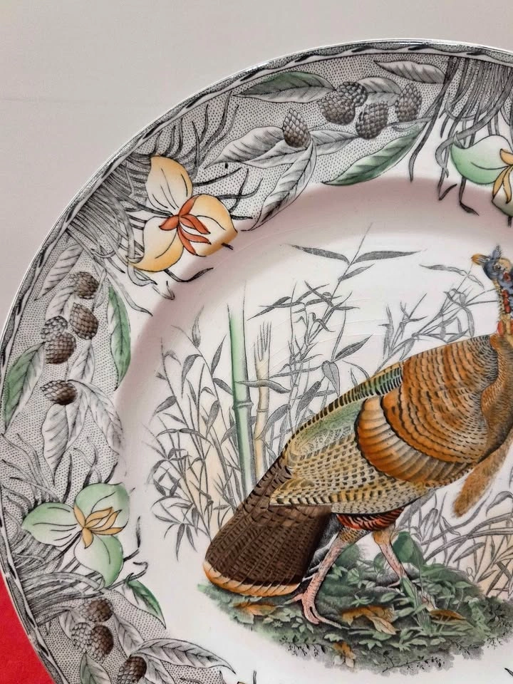Birds of America Adams China Plate, Wild Turkey, England - photo 3