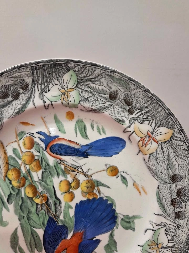 Birds Of America Adams China Plate, Florida Jay, England - photo 5