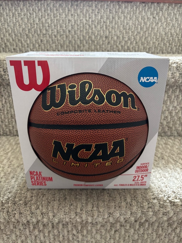 Wilson Basketball youth size 5 Platinum Series
