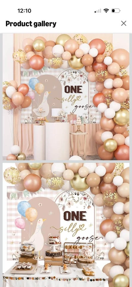 Brand new- One Silly Goose 1st Bday Backdrop - photo 3