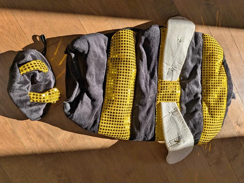 Dog bee costume XL