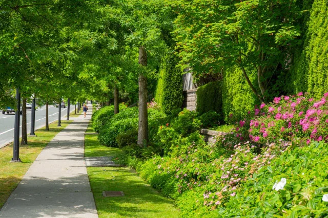 Room in apartment image indicator(9)