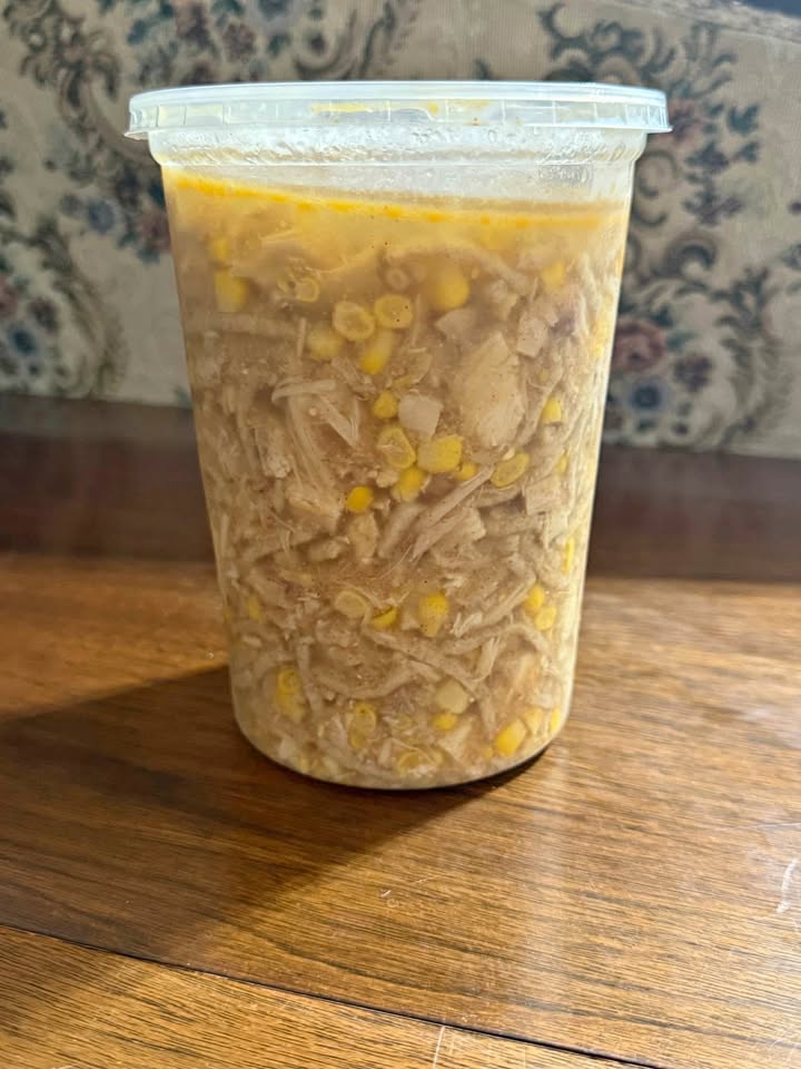 Homemade Chicken Noodle Soup - Two Servings