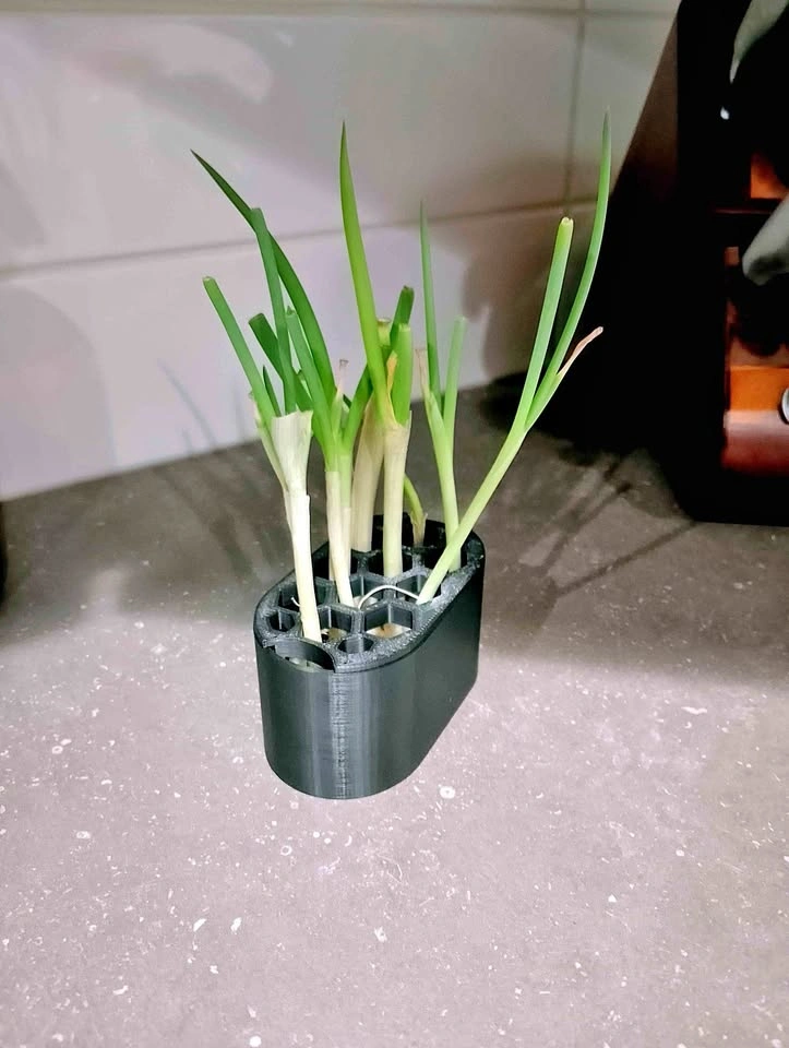 Indoor pot for green onions